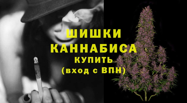 молекула духа Медногорск