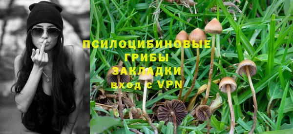 молекула духа Медногорск