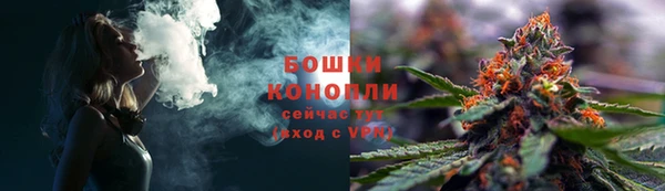 молекула духа Медногорск