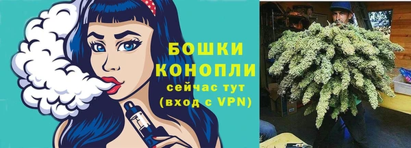 2c-b Медвежьегорск