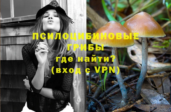 молекула духа Медногорск