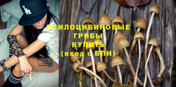 молекула духа Медногорск