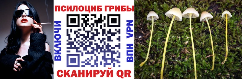 Псилоцибиновые грибы ЛСД  Дно 
